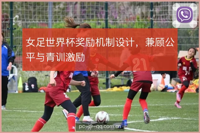 女足世界杯奖励机制设计，兼顾公平与青训激励